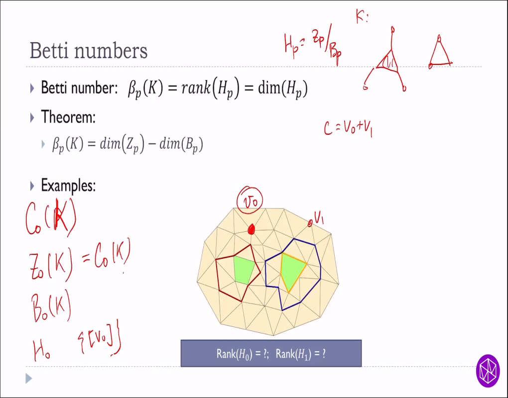 Machine Learning Summer School: Geometrical and Topological Data Analysis Thumbnail