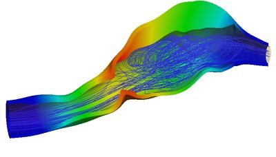 Hot Topics Workshop: Recent Progress in Deterministic and Stochastic Fluid-Structure Interaction Thumbnail Image