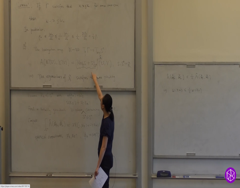 Topics in Geometric Flows and Minimal Surfaces (St. Mary's College) Summer School: Singularity Analysis for the Mean Curvature Flow Part 4 Thumbnail