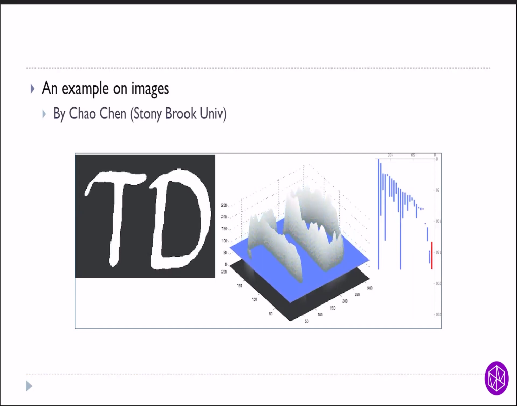 Machine Learning Summer School: Geometrical and Topological Data Analysis Thumbnail