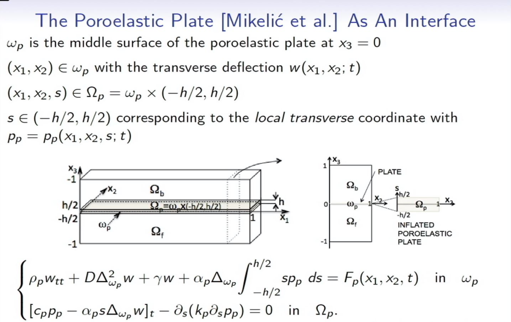 Hot Topics: Recent Progress in Deterministic and Stochastic Fluid-Structure Interaction: "Weak Solutions to Fluid - Structure Interaction: Problems with Poroelastic Media" Thumbnail