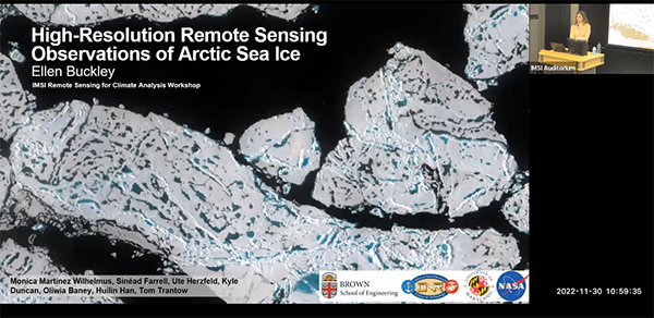 High-Resolution Remote Sensing Observations of Arctic Sea Ice Thumbnail