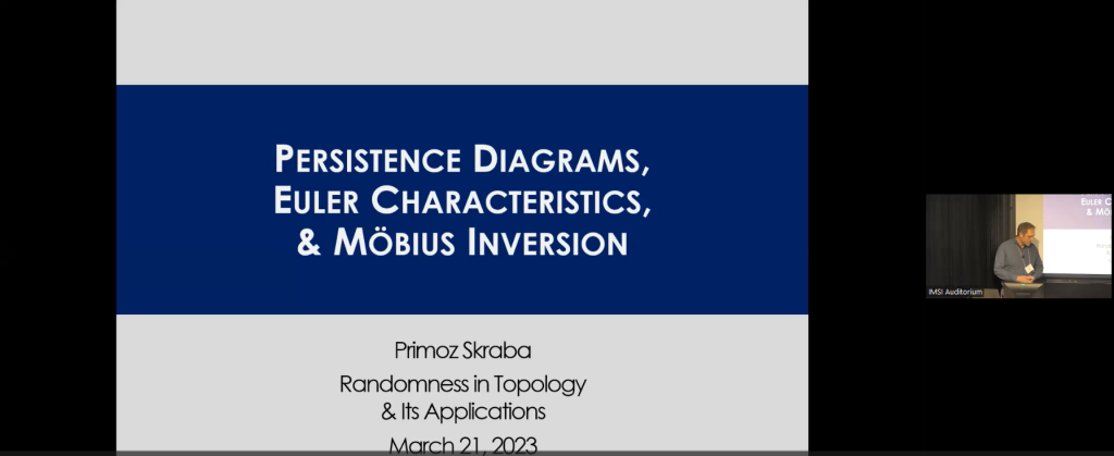 Persistence Diagrams, Euler Characteristics, and Mobius Inversion Thumbnail