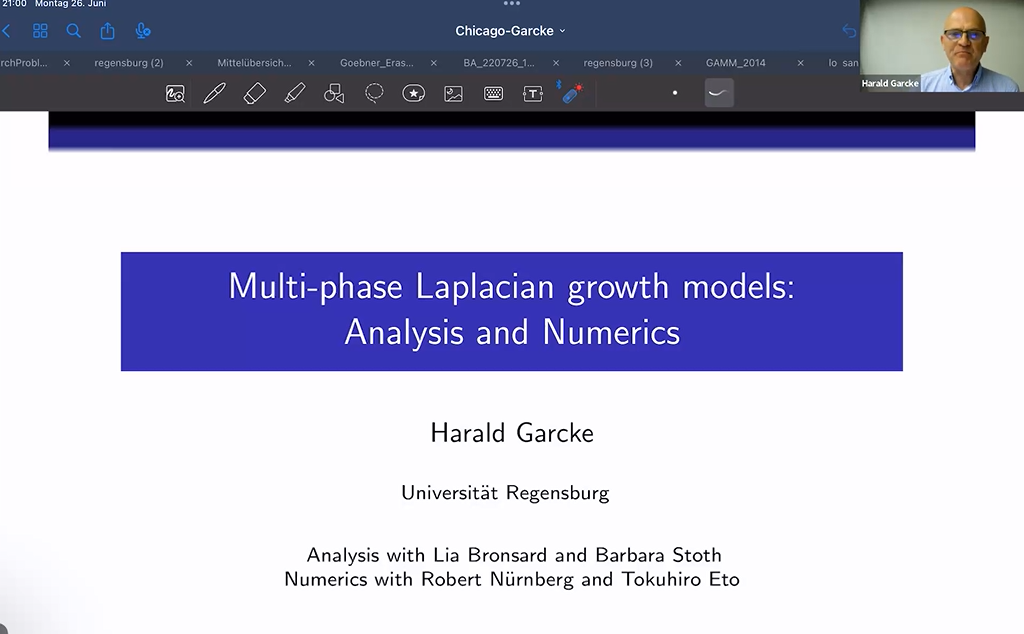 Multi-phase Laplacian growth models: Analysis and Numerics Thumbnail