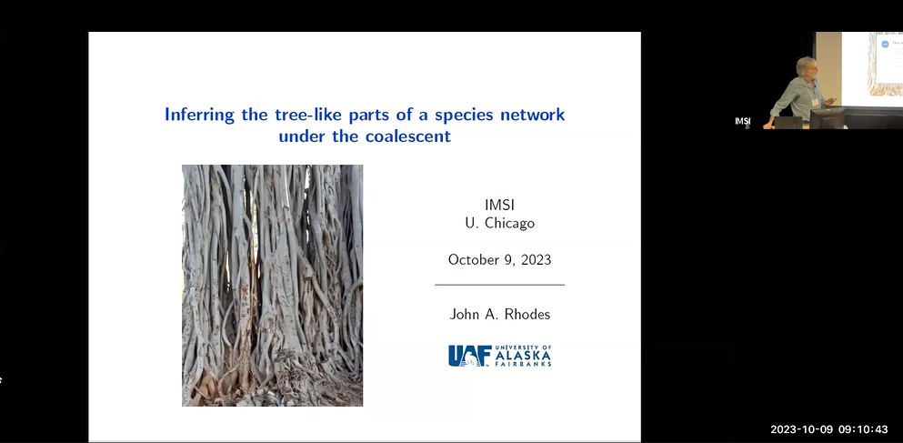 Inferring the tree-like parts of a species network under the coalescent Thumbnail