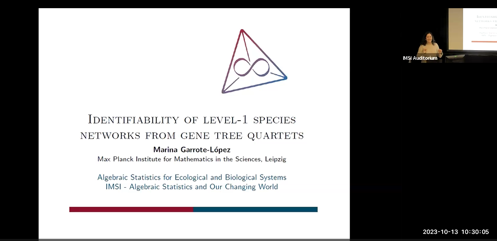 Identifiability of level-1 species networks from gene tree quartets Thumbnail