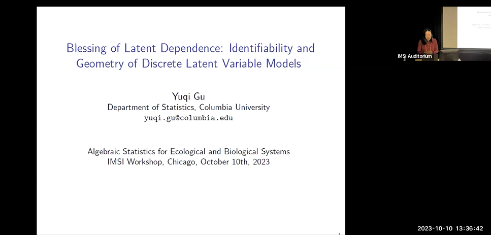 Blessing of Dependence: Identifiability and Geometry of Discrete Models with Multiple Binary Latent Variables Thumbnail