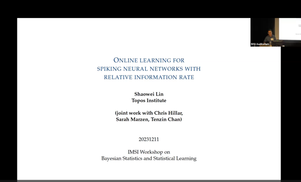 Online learning for spiking neural networks with relative information rate Thumbnail