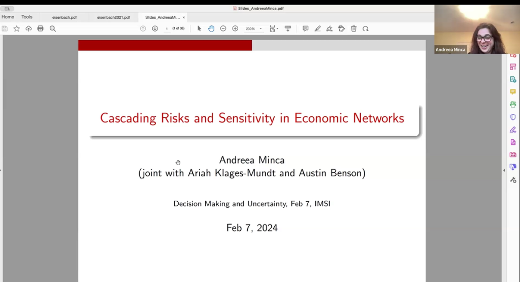 Cascading Risks and Sensitivity in Economic Networks Thumbnail