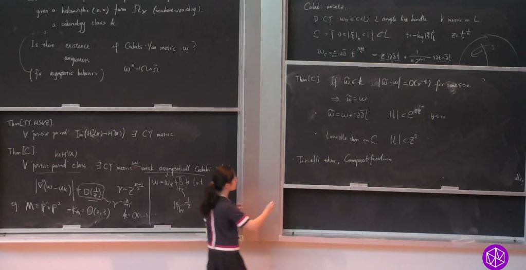 Introductory Workshop: Special Geometric Structures and Analysis: More Complete Calabi-Yau Metrics of Calabi Type Thumbnail