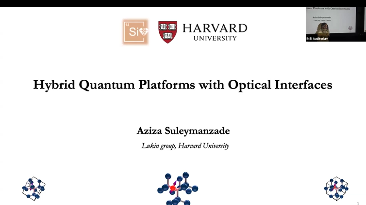 Hybrid Quantum Platforms with Optical Interfaces Thumbnail