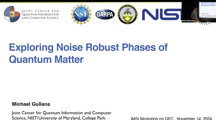 Exploring noise robust phases of quantum matter Thumbnail