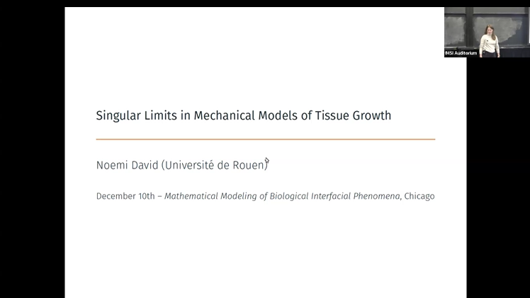 Singular Limits in Mechanical Models of Tissue Growth Thumbnail