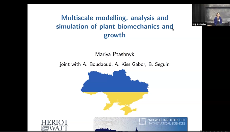 Multiscale modelling, analysis and simulation of plant biomechanics and growth Thumbnail