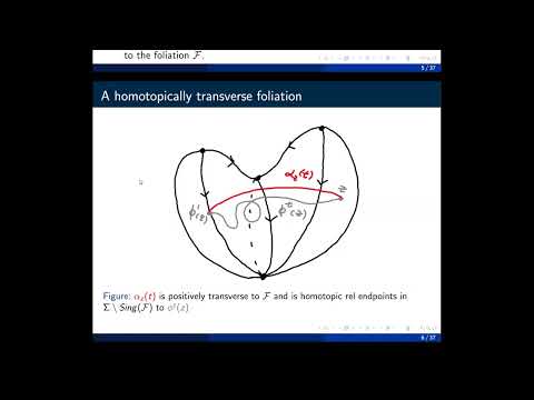 Dynamic and Topological Aspects of Hamiltonian Floer Theory on Surfaces Thumbnail