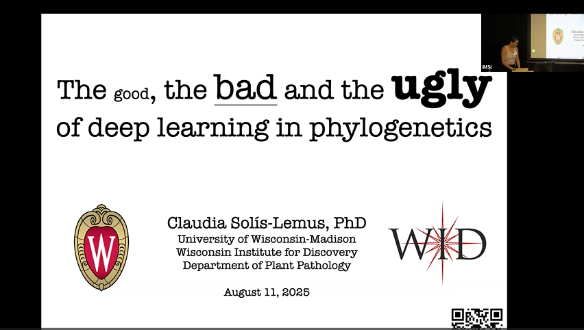 The good, the bad, and the ugly of deep learning in phylogenetics Thumbnail