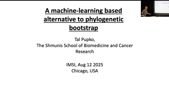 Using machine learning as an alternative to phylogenetic bootstrap and for quantifying MSAs Thumbnail
