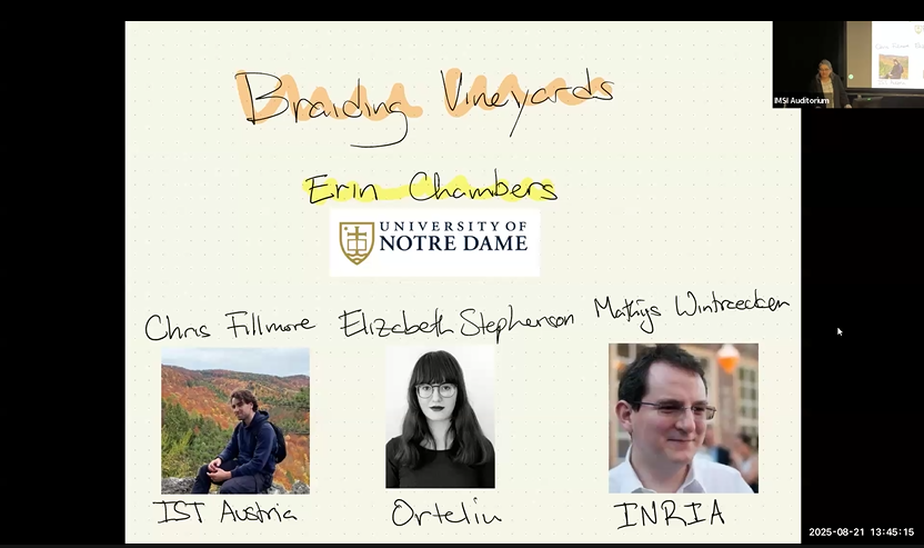 Braiding vineyards Thumbnail