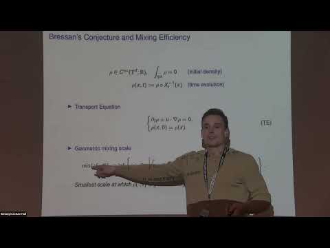 Lyapunov Exponents and Mixing in DiPerna-Lions Flows Thumbnail